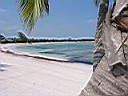 IMG_0274.jpg