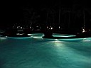 IMG_0281.jpg