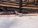 IMG_0296.jpg