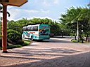 IMG_0305.jpg