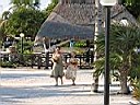 IMG_0172.JPG