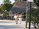 IMG_0174.JPG